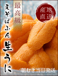 えぞばふん生うに