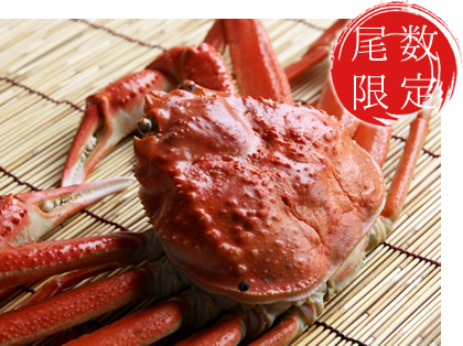 䥂ŏグ���킢����