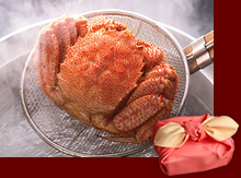 �u���C�~��݁v䥂ŏグ�т���