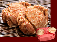 �u���C�~��݁v䥂ŏグ�т���