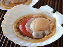 ��t�E�����Y�V�R�L�z�^�e