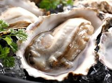 ���ݒ����F�u����̊k�t���y