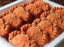 䥂ŏグ�т���