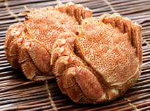 䥂ŏグ�т���