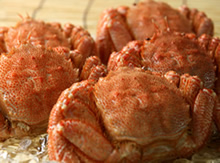 䥂ŏグ�т���