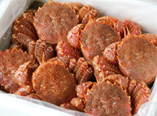 䥂ŏグ�т���