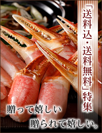 送料込・送料無料商品一覧