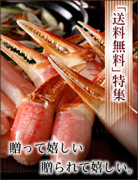 送料無料商品一覧