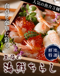 海鮮ちらし