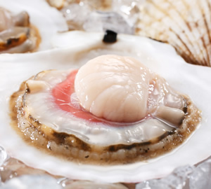 野付・根室産天然貝ホタテ