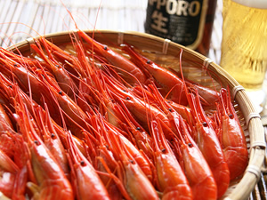 厚岸産北海シマエビ