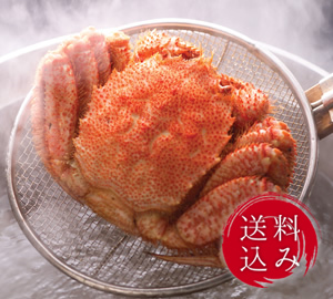 ブランド毛がに「雄武」