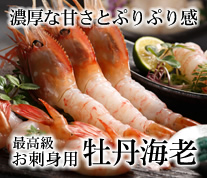 牡丹海老