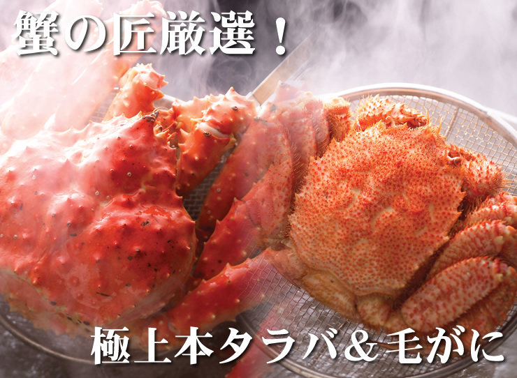 uȈvIIuv{^oт