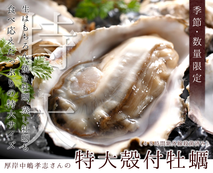 厚岸中嶋孝志さんの生食用 殻付牡蠣 牡蛎 海鮮通販の北釧水産