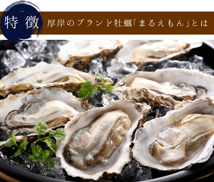 厚岸中嶋孝志さんの生食用「殻付牡蠣」|牡蛎 | 海鮮通販の北釧水産