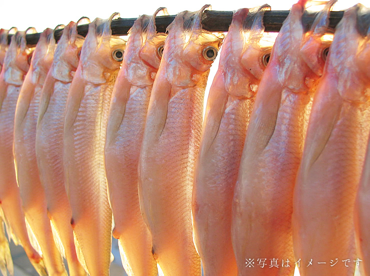 釧路産 天日干し 本ししゃも 海鮮通販の北釧水産