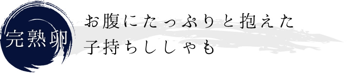 お腹にたっぷりと抱えた子持ちししゃも