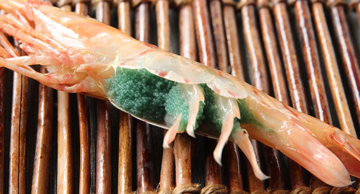 お刺身用牡丹海老 ボタンエビ 鮮魚 海鮮通販 取り寄せは北釧水産