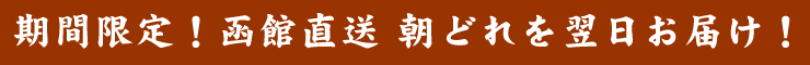 期間限定！函館直送朝どれを翌日お届け！