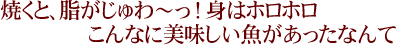 焼くと、脂がじゅわ～っ！身をホロホロ、こんなに美味しい魚があったなんて