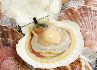 おいしい氷下魚作りにこだわり