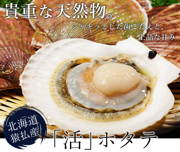 活ホタテ