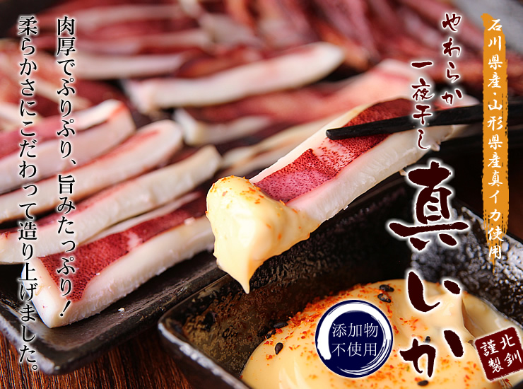 活イカ通販 函館 生きたまま発送 空輸