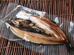 ō銱ɂ