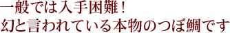 一般では入手困難!幻と言われている本物のつぼ鯛です。