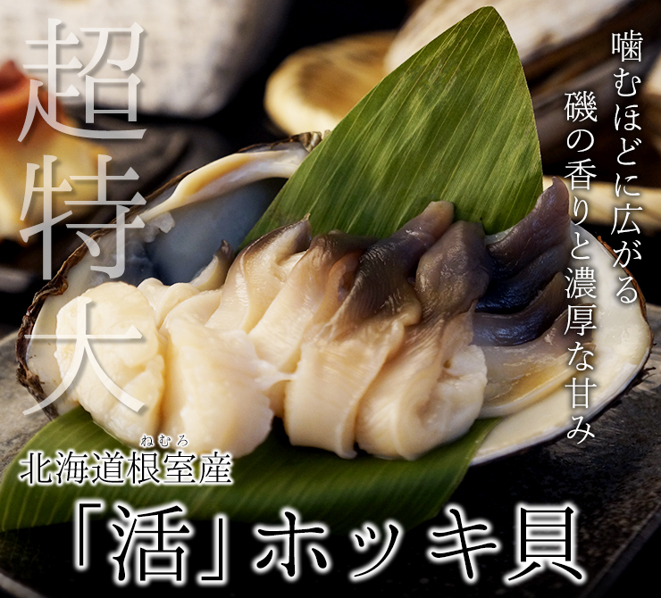 北海道根室産「活」ホッキ