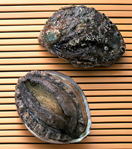 北海道一の品質を誇る利尻産の蝦夷あわび