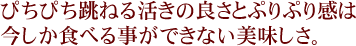 ぴちぴち跳ねる活きの良さとぷりぷり感は今しか食べる事ができない美味しさ。