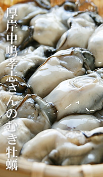ނŷz