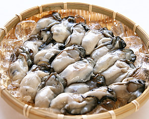 ݒFûނy