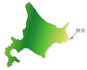 根室産生サンマ