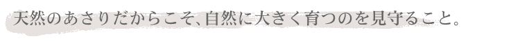 天然のあさりだからこそ、自然に大きく育つのを見守ること。