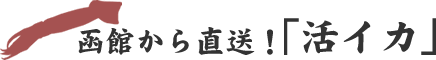 函館から直送！「朝イカ」