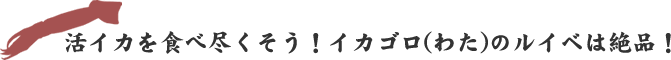 朝イカを食べ尽くそう！イカゴロ（わた）のルイベは絶品！