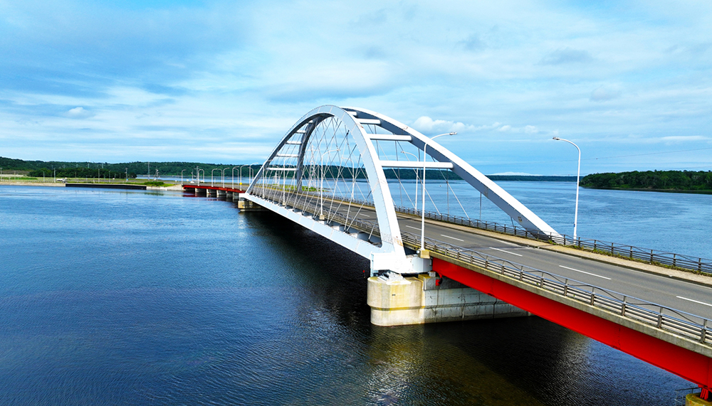 根室名産生干し氷下魚(コマイ)