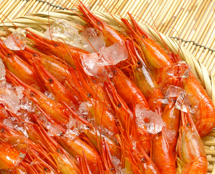 漁が行われる“夏季”限定の味覚