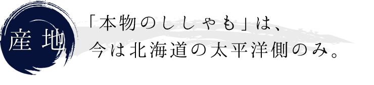 「本物のししゃも」は、北海道の太平洋側の数箇所のみ。