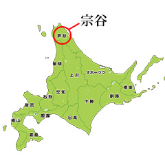 おいしさが別格のコマイ