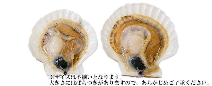 お酒の肴にもピッタリの氷下魚
