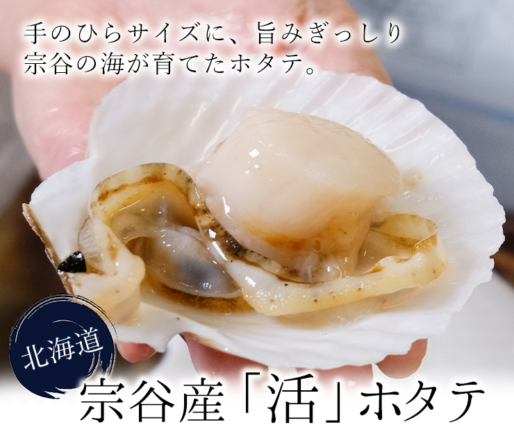 活ホタテ