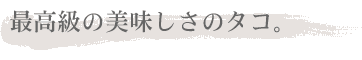 最高級の美味しさのタコ。