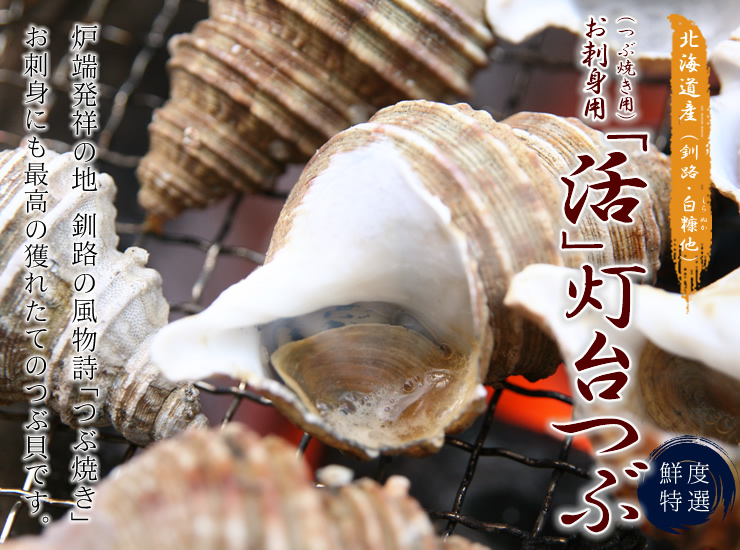 北海道産「活」灯台つぶ つぶ貝 | 海鮮通販の北釧水産