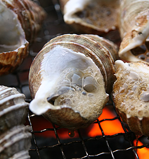 北海道産 活 灯台つぶ つぶ貝 海鮮通販の北釧水産