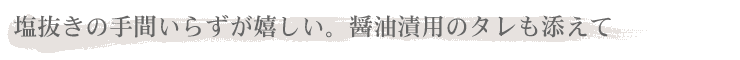 ̎Ԃ炸BݖЗp̃^Y