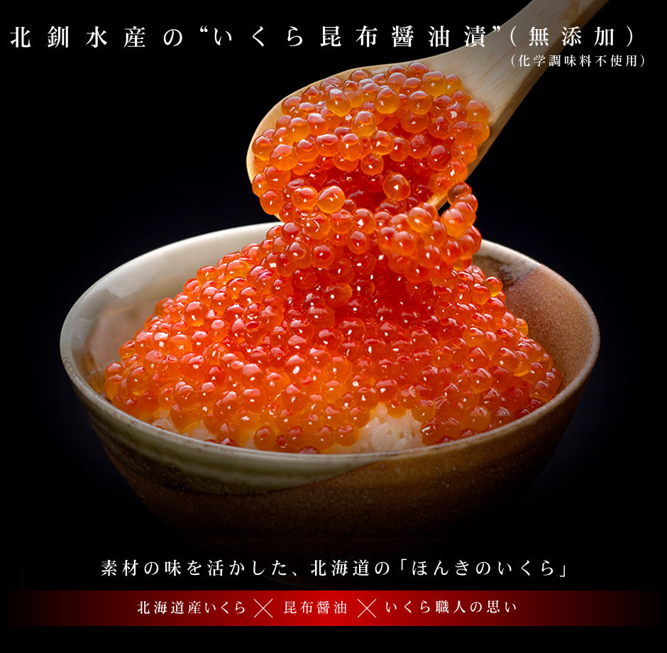 活イカ通販 函館 生きたまま発送 空輸 活イカ通販 函館 生きたまま発送 空輸